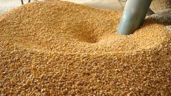 معرفی اکسیدمس دو200 + بهترین قیمت خرید